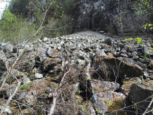 Rock Face Prior to Dam Removal