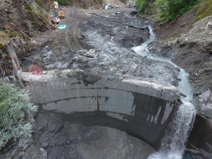Site Area & Partial Dam Removal